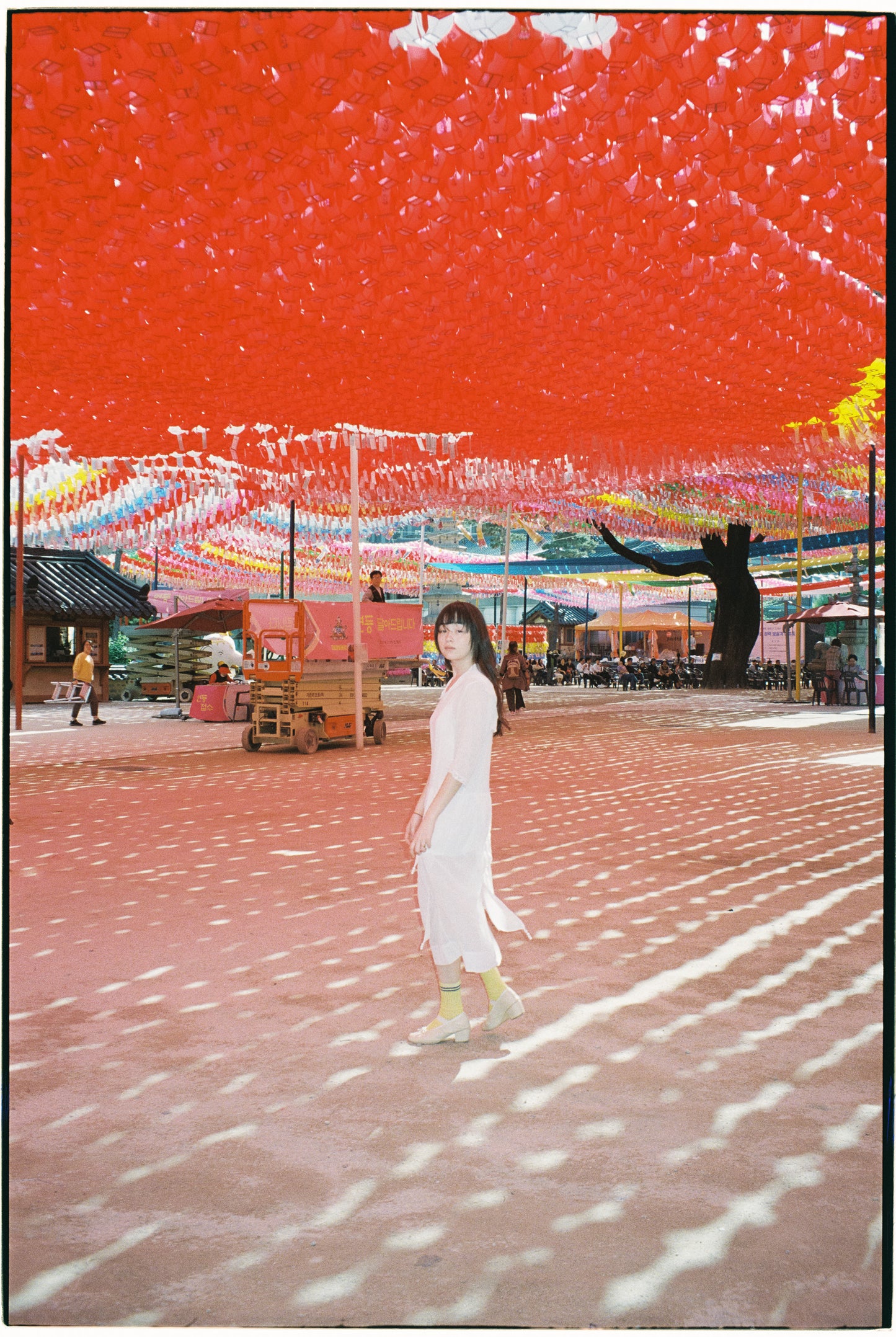 モトーラ世理奈×松岡⼀哲 写真集「せりなが」(送料無料)