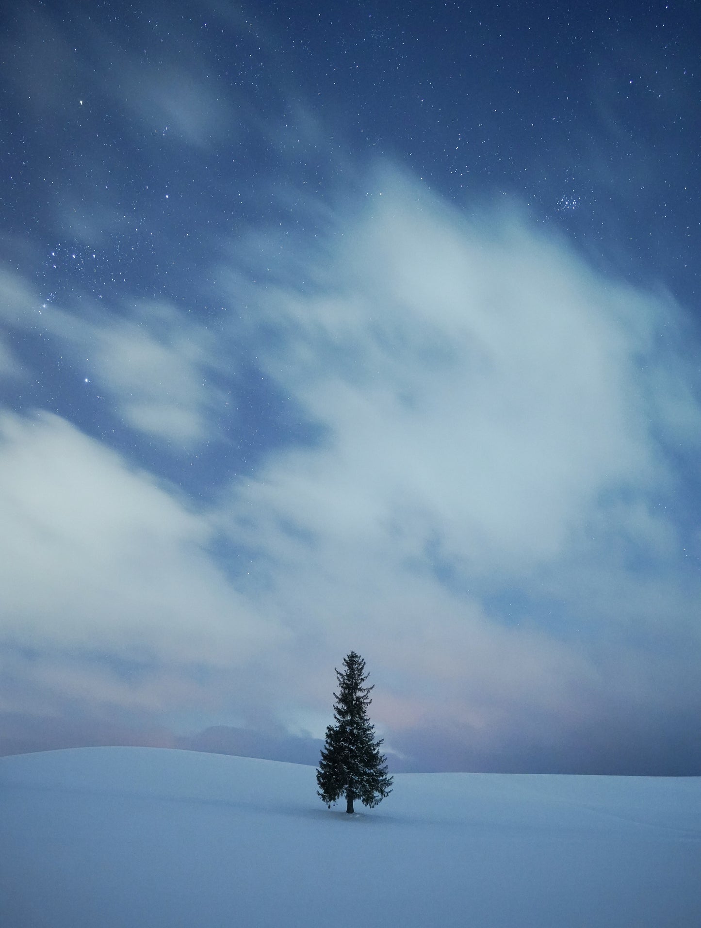 岩倉しおり オリジナルクリアファイル(送料無料)