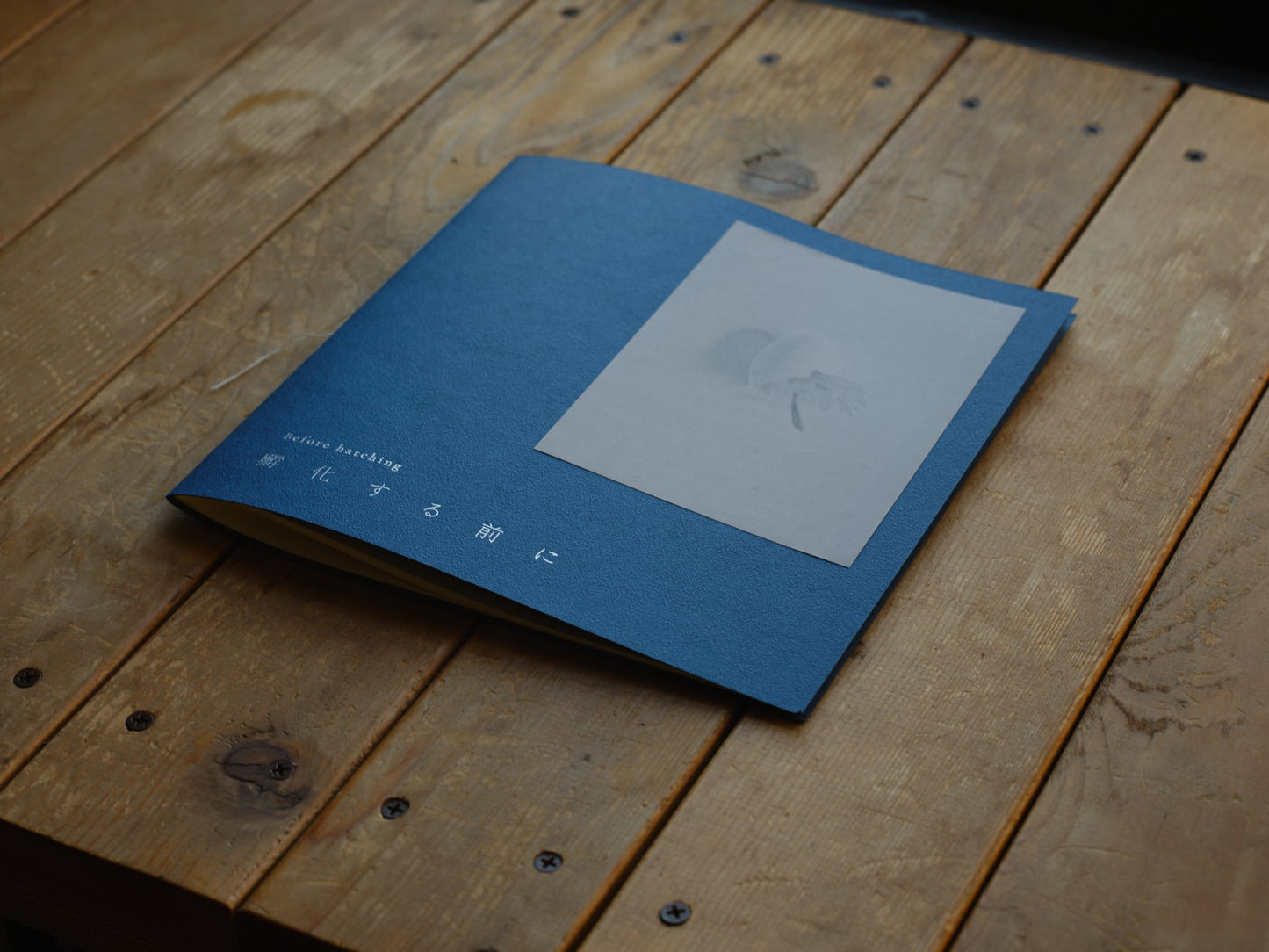 コハラタケル 写真集「孵化する前に」(送料無料)