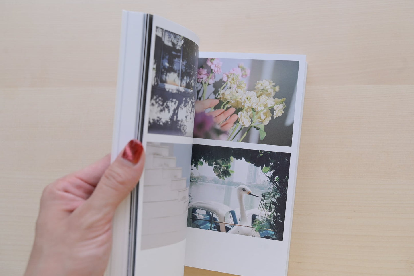 伊佐知美&古性のち フォトエッセイ「Letters - 伊佐知美と古性のちの頭の中 -」(送料無料)
