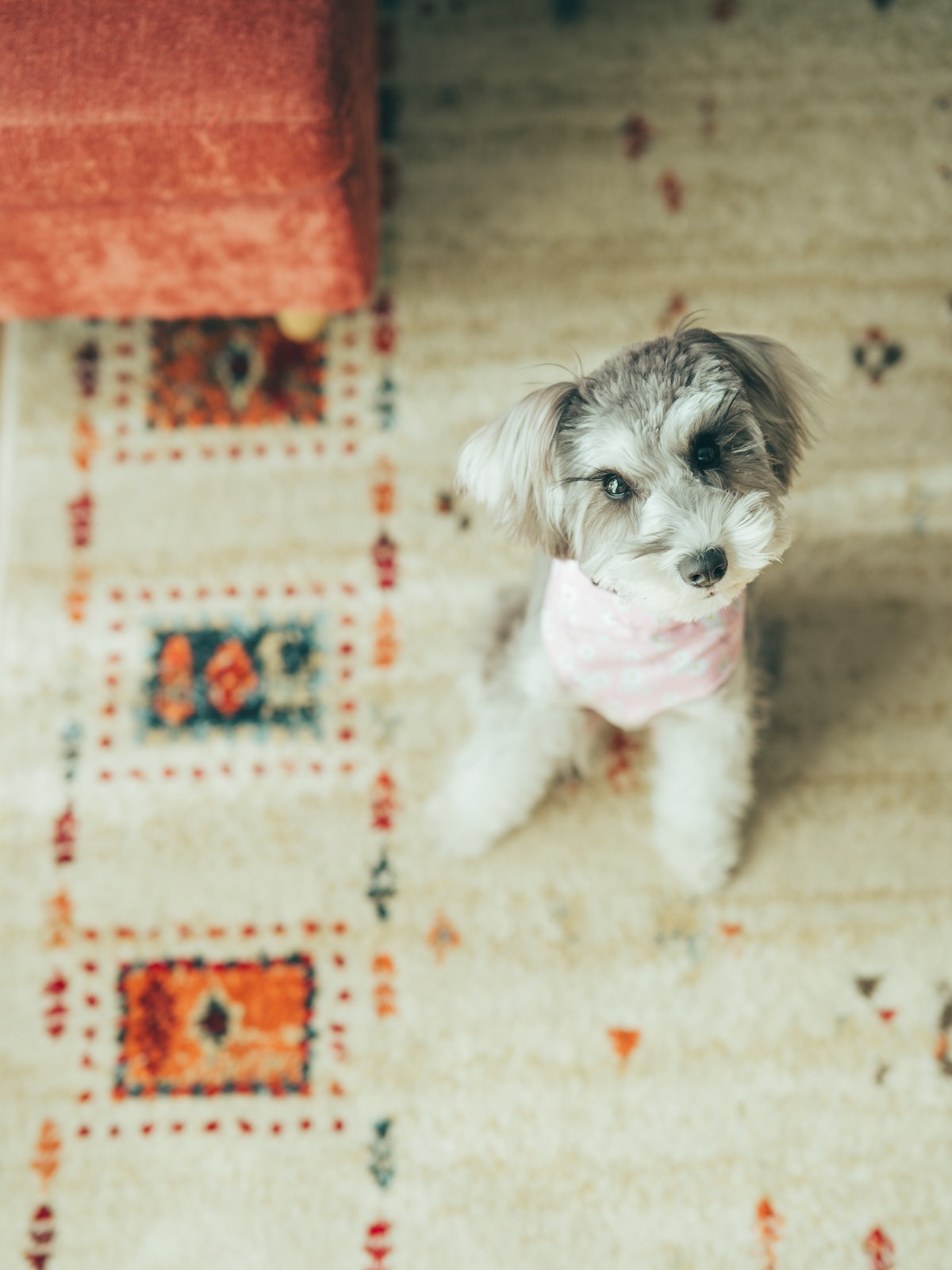 Hiroki.Nose/野瀬大樹|Lightroomプリセット「玄-QUALIA」「玄-ANIMA」