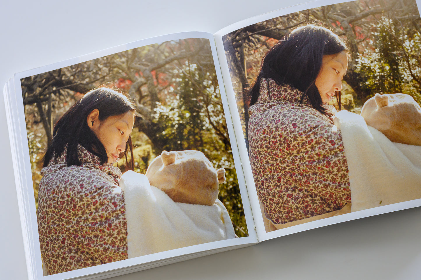 藤代冥砂 写真集「もう、家に帰ろう2」(送料無料)