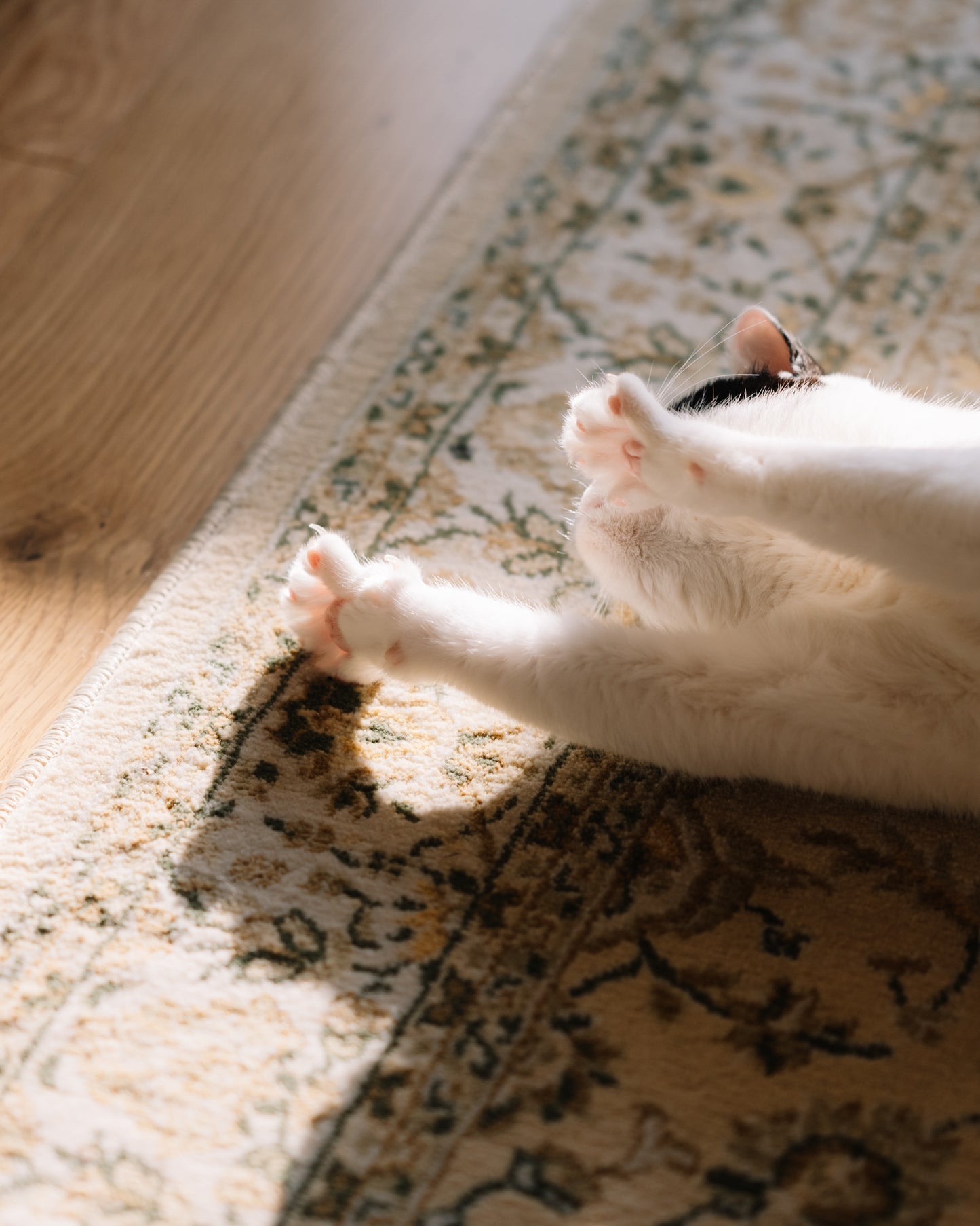 鎌田風花 オリジナルクリアファイル(送料無料)