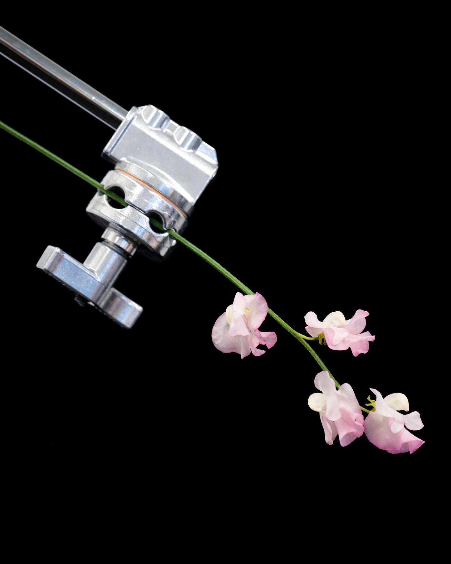 古屋呂敏 オリジナルクリアファイル 3枚セット(送料無料)