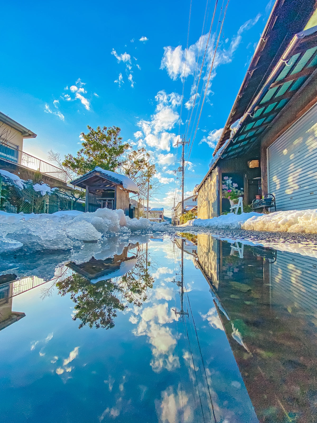 Shota オリジナルクリアファイル(送料無料)