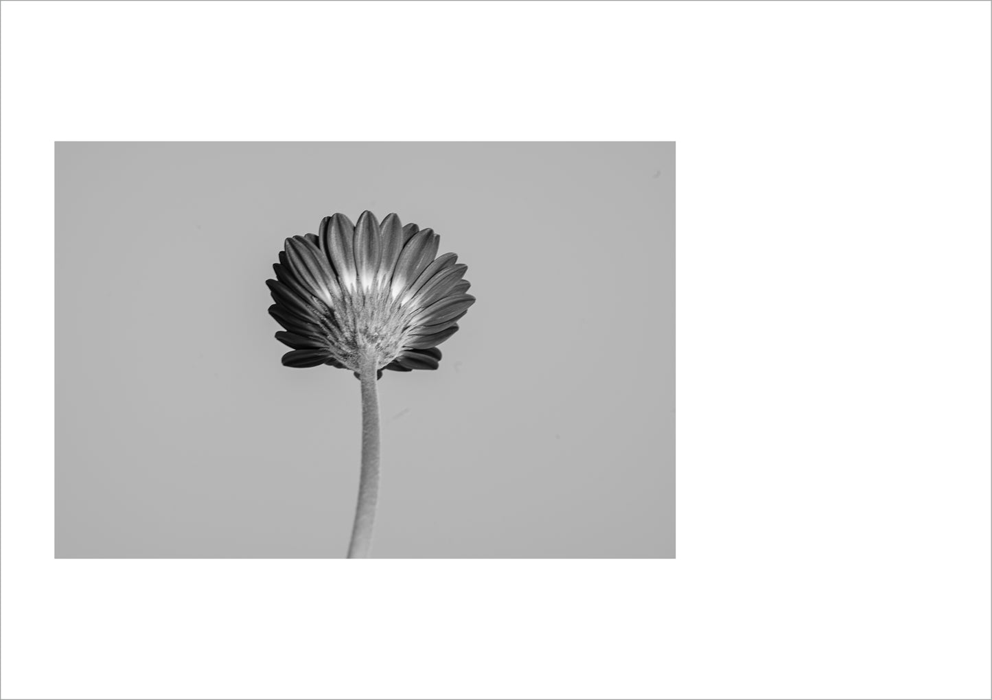 古屋呂敏写真集「MY FOCAL LENGTH」(送料無料)