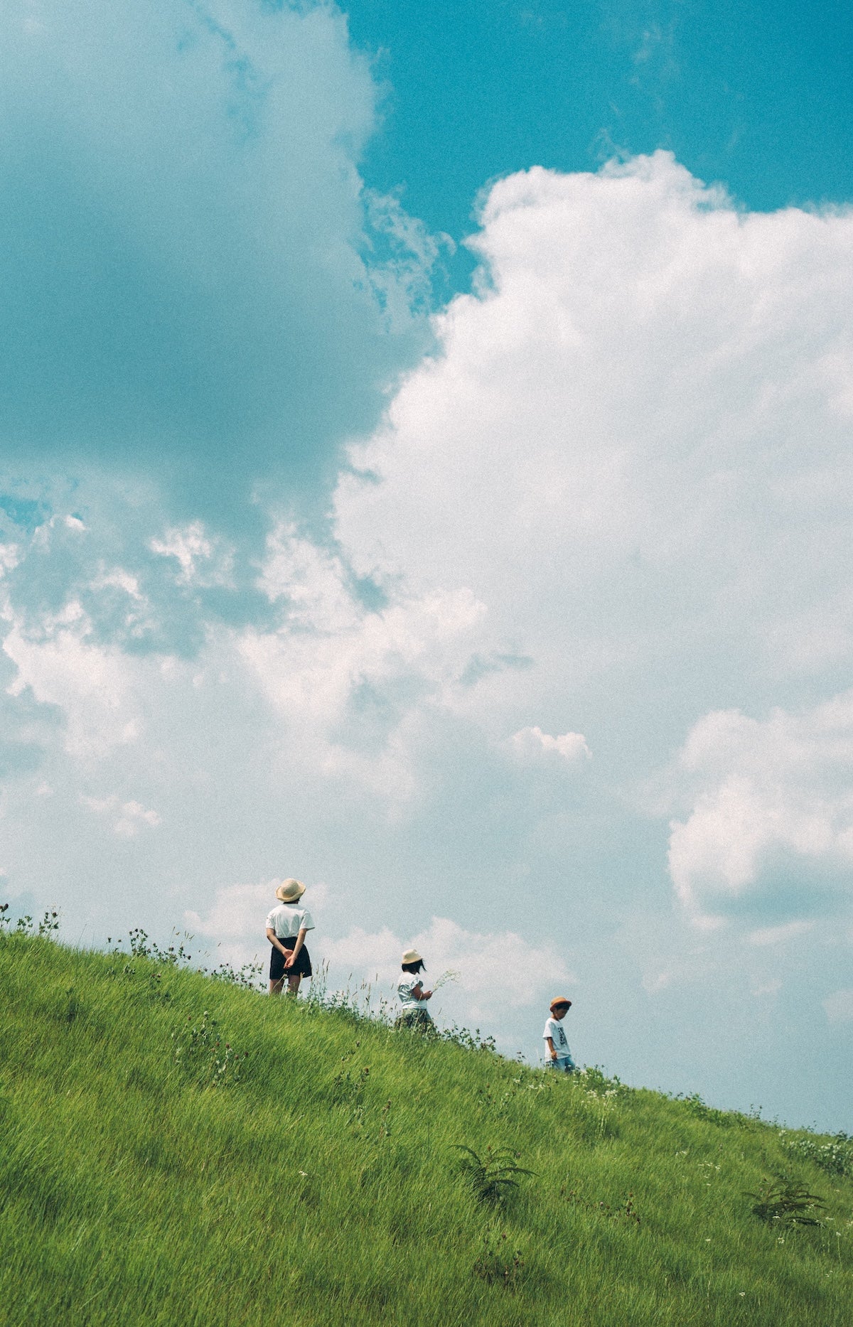 Hara Kazuaki | Lightroom presets "Komorebi" and "Natsuzora"