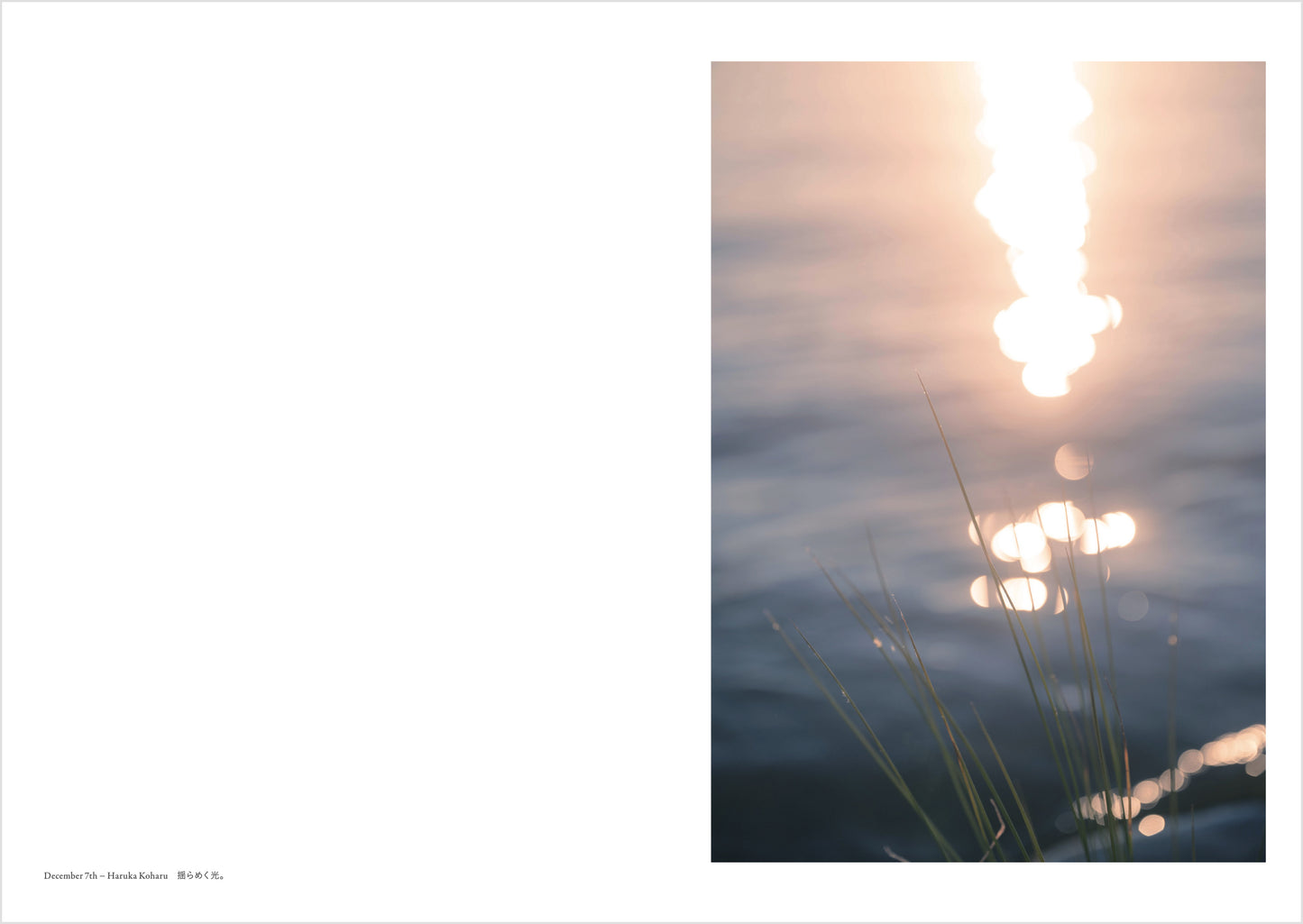 B:鎌田風花&小春ハルカ 写真集「Diaries」+ポストカード10種10枚