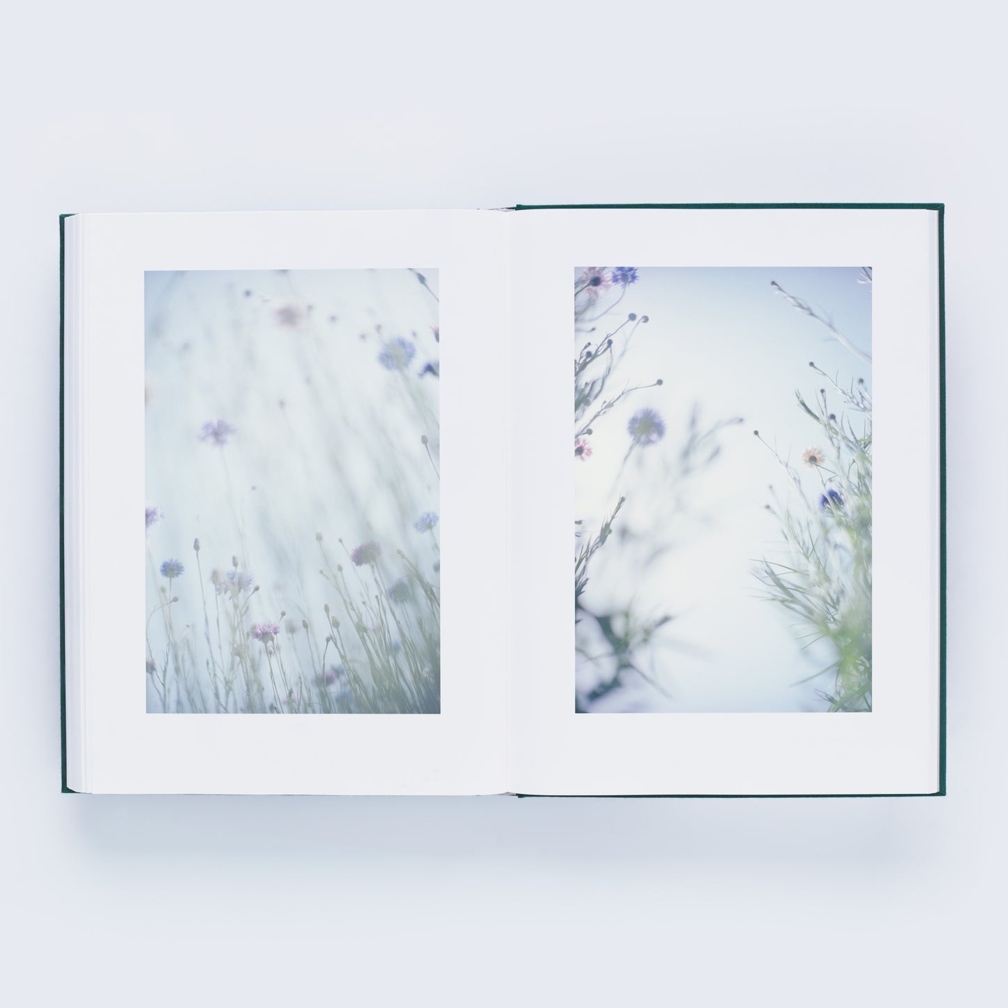 瀧本幹也 写真集「LUMIÈRE」(送料無料)