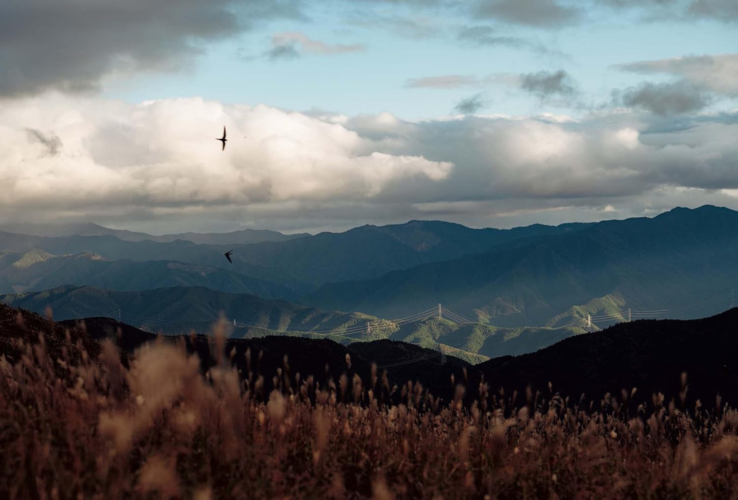 高橋伸哉 写真集「impermanence」(送料無料)
