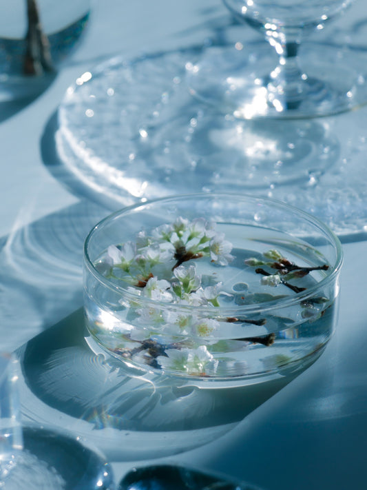 tomei/透明愛好家|Lightroomプリセット「minamo /水面」「mizusoko /水底」