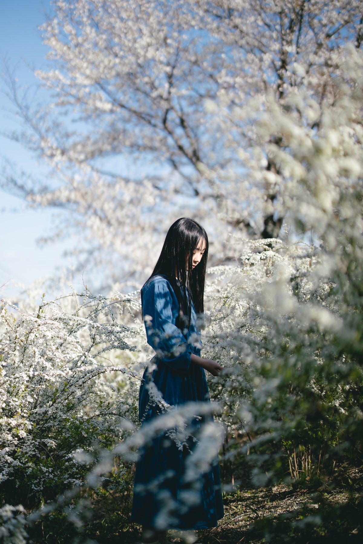 相武えつ子|Lightroomプリセット「春風」「つむぎ」