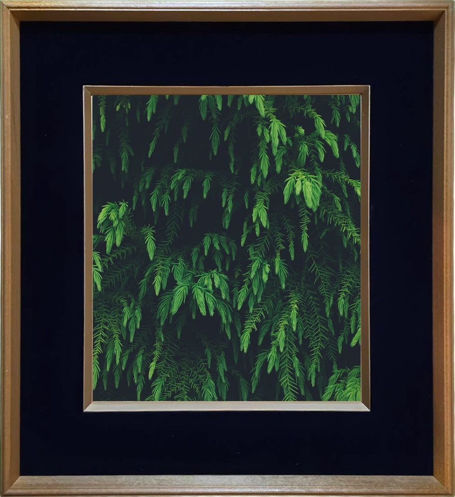 No.079 A:展示現品 <澤村洋兵 額装作品>