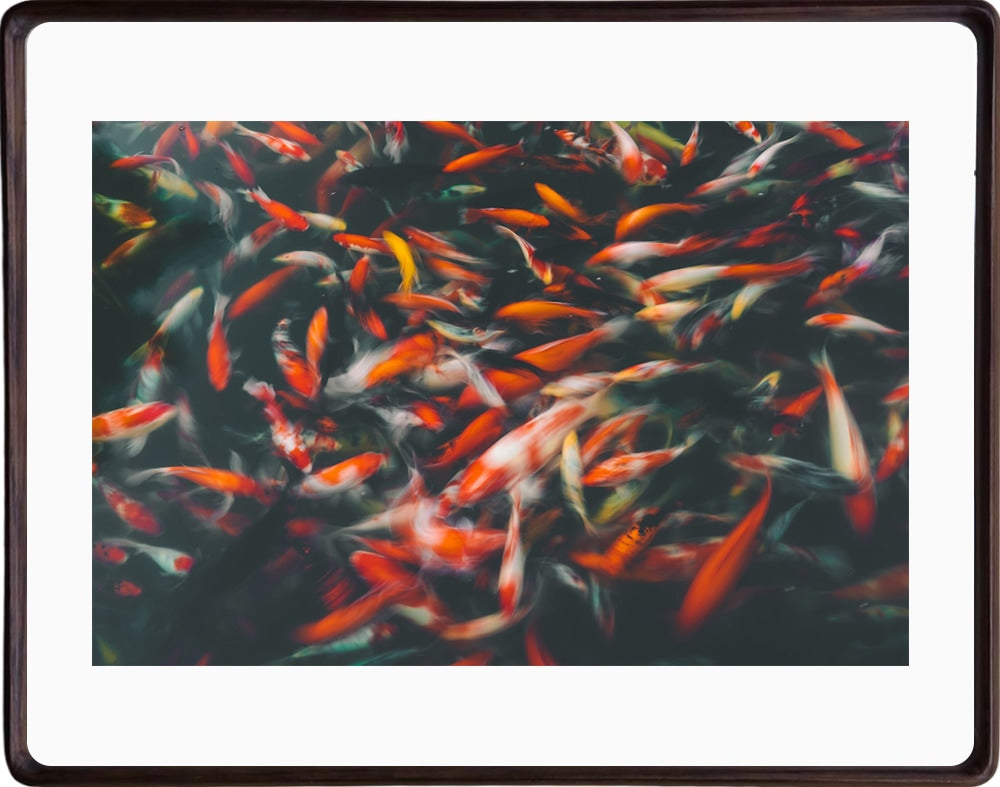 No.104 A:展示現品 <澤村洋兵 額装作品>