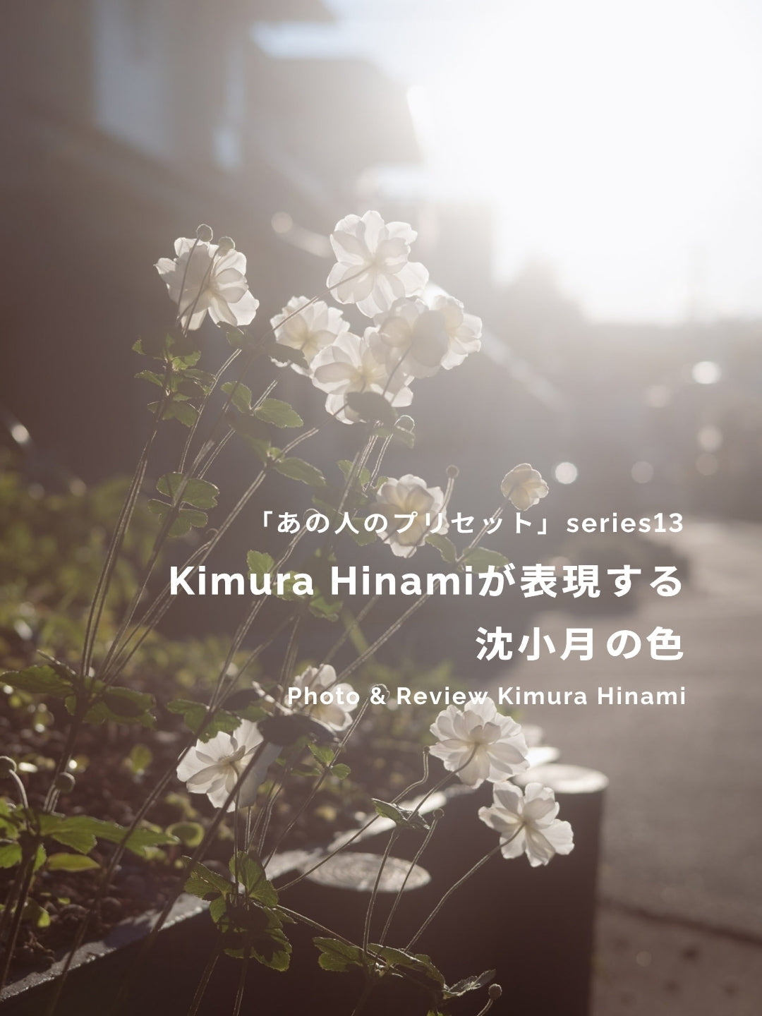 Kimura Hinamiが表現する沈小月の色｜あの人のLightroomプリセット vol.13
