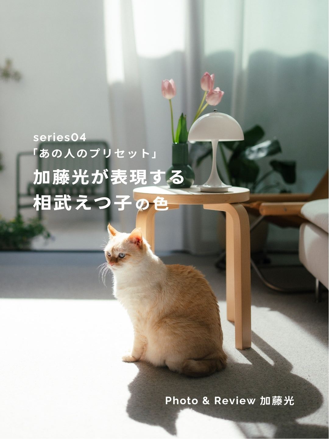 加藤光が表現する相武えつ子の色｜あの人のLightroomプリセット vol.4