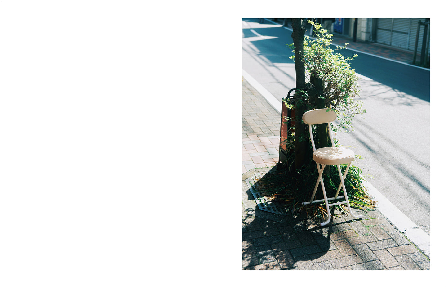 特典付き先行予約：Kimura Hinami写真集「In Light, I Live」