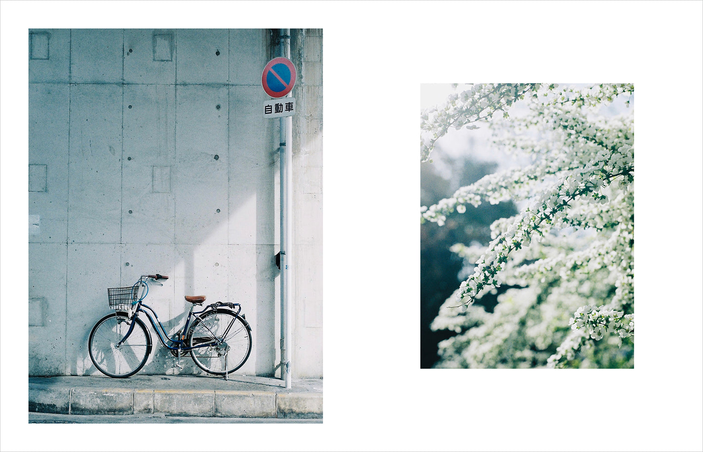 特典付き先行予約：Kimura Hinami写真集「In Light, I Live」