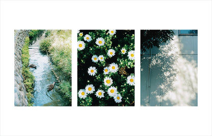 特典付き先行予約：Kimura Hinami写真集「In Light, I Live」