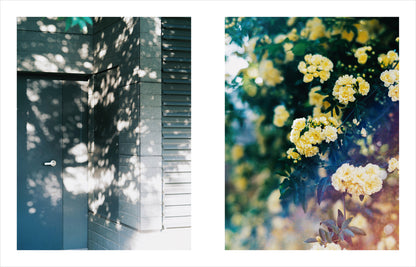 特典付き先行予約：Kimura Hinami写真集「In Light, I Live」