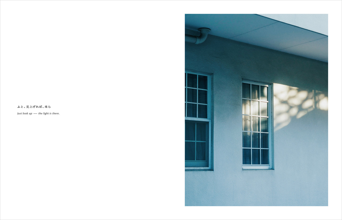 特典付き先行予約：Kimura Hinami写真集「In Light, I Live」