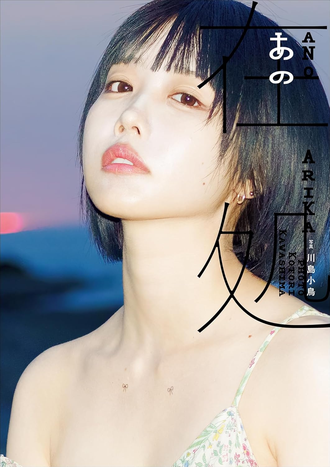 写真家 川島小鳥 撮影 「あの写真集 あの在処」 (送料無料)