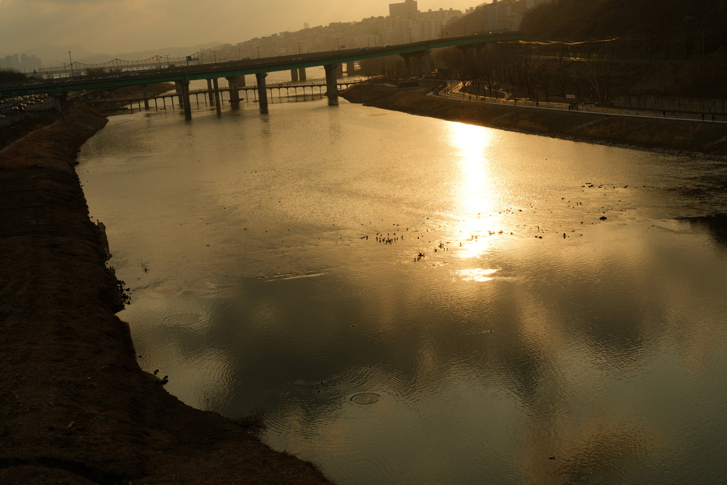 川島小鳥 写真集「サランラン」（送料無料）
