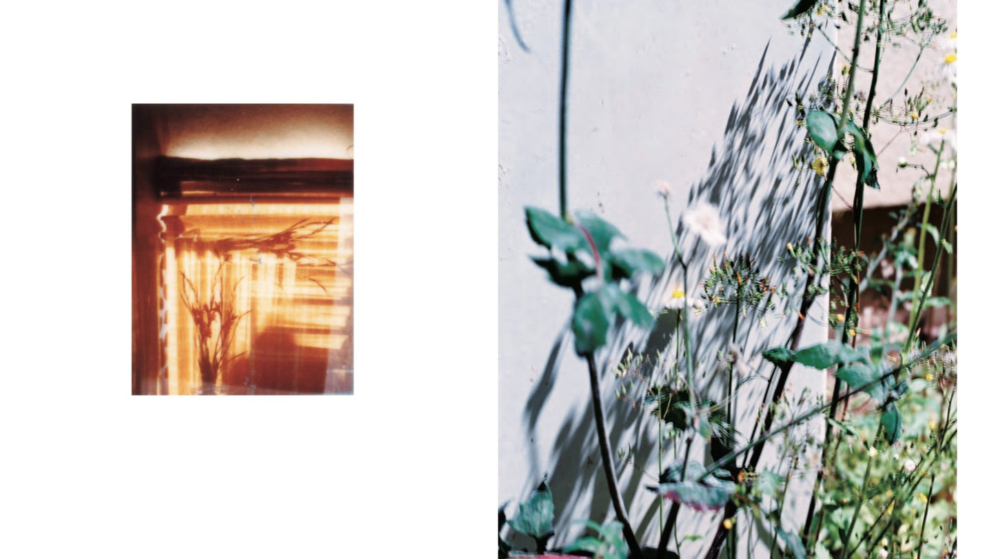 奥山由之 写真集「flowers」（送料無料）