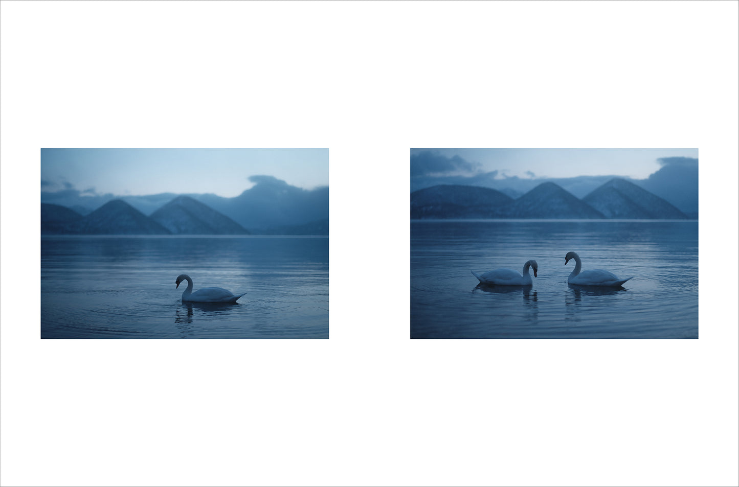 2大特典付き先行予約 A：岩倉しおり写真集「crescent」＋「オリジナルムーンカレンダー2026」（送料無料）