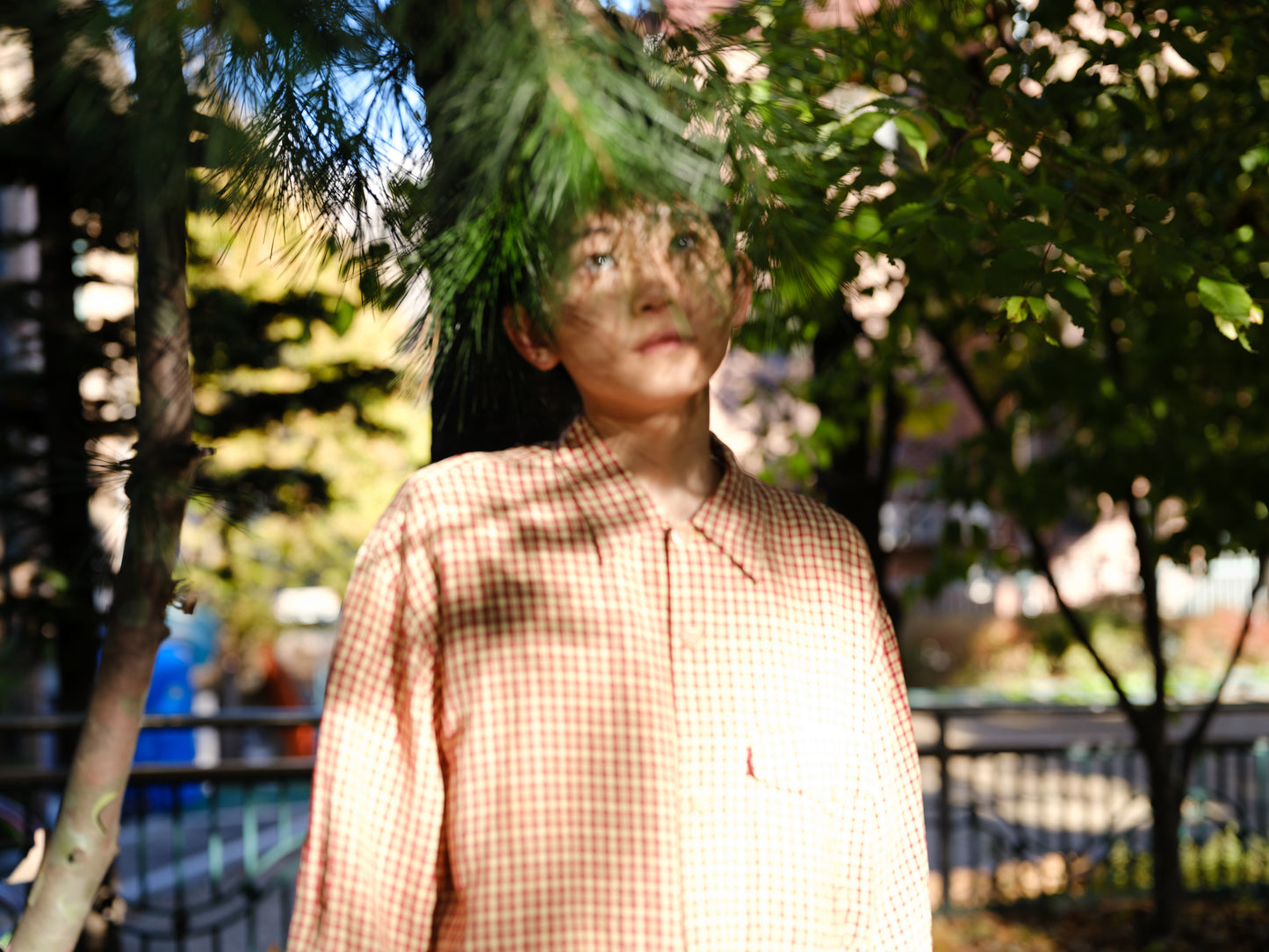 川島小鳥 写真集「サランラン」（送料無料）