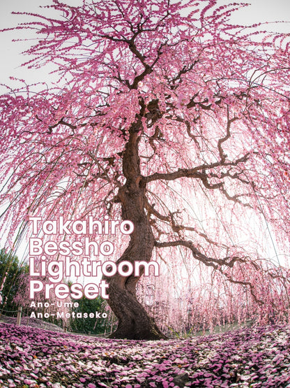 Takahiro Bessho | Lightroom presets "Ano-Ume" and "Ano-Metaseko"