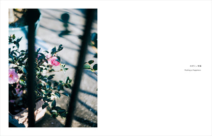 特典付き先行予約：Kimura Hinami写真集「In Light, I Live」