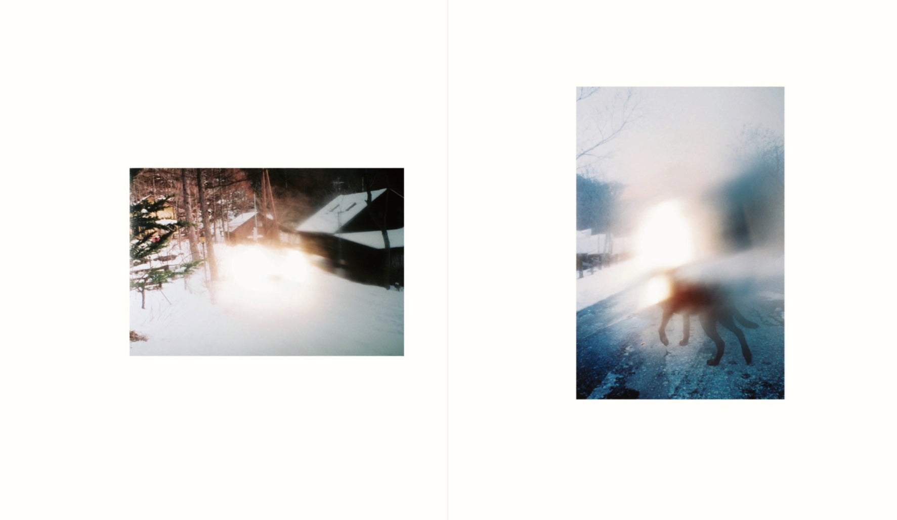 奥山由之 写真集「photographs」通常版 – GENIC SHOP