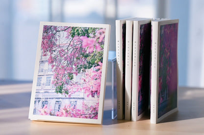 伊佐知美 ZINE「旅と生きる美しさを - My High Summer」（送料無料）