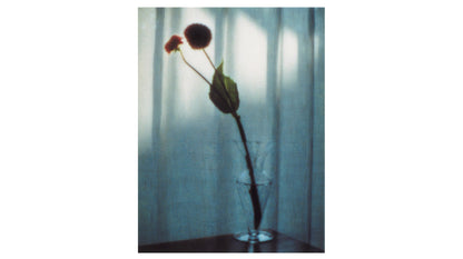 奥山由之 写真集「flowers」（送料無料）