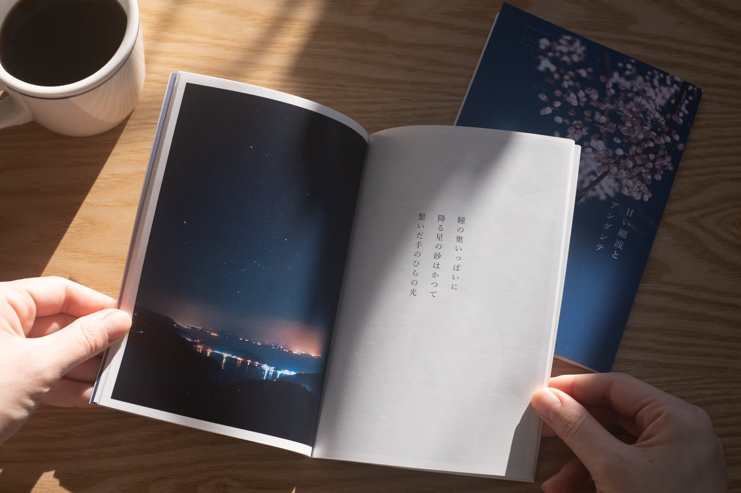 古性のち 短歌集 「甘い細波とアンダンテ」 2巻セット（送料無料）