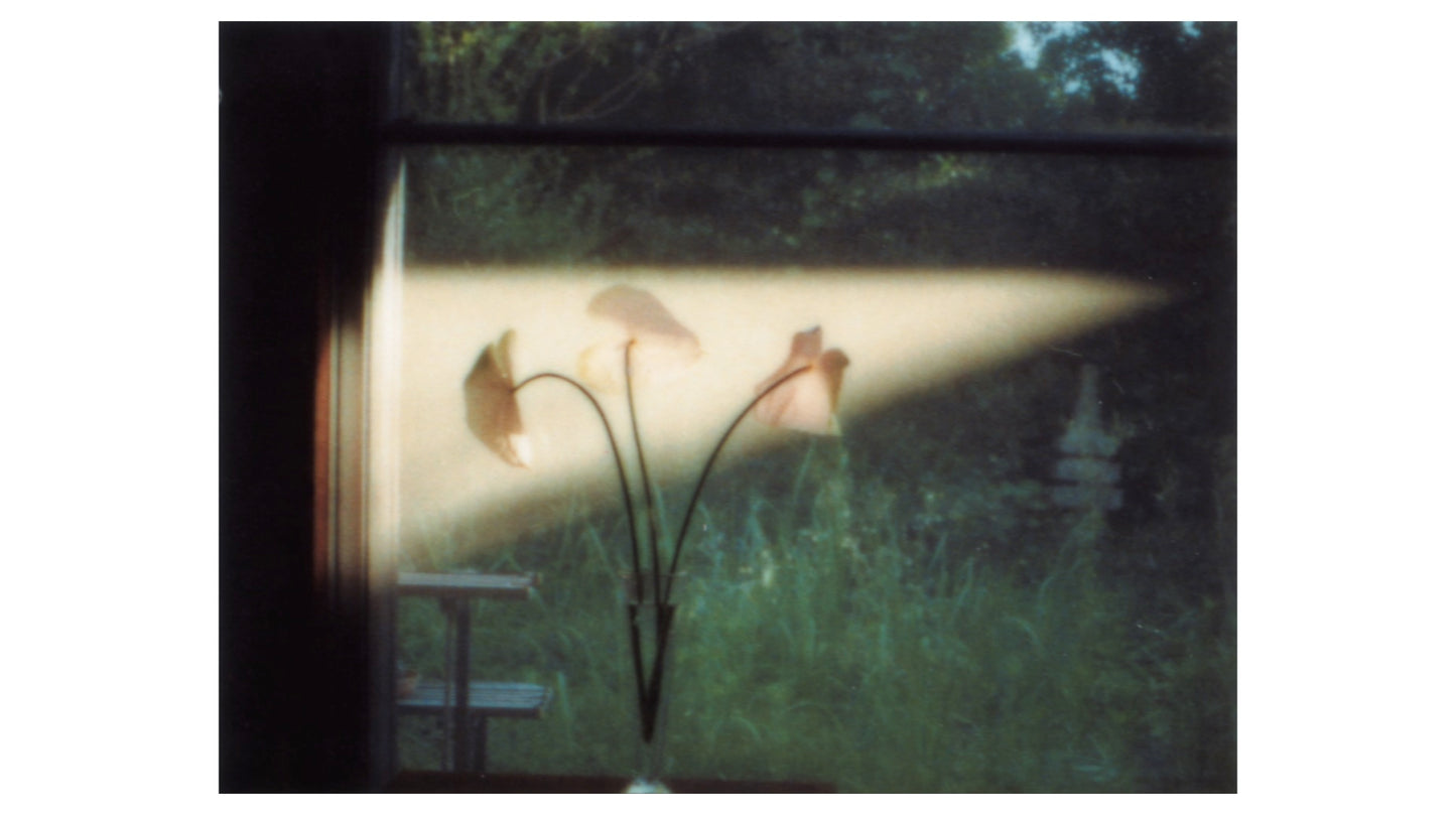 奥山由之 写真集「flowers」（送料無料）
