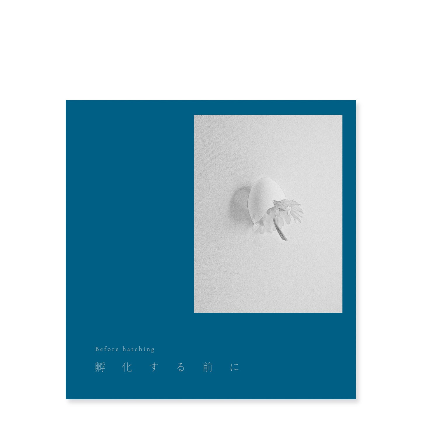コハラタケル 写真集「孵化する前に」（送料無料）
