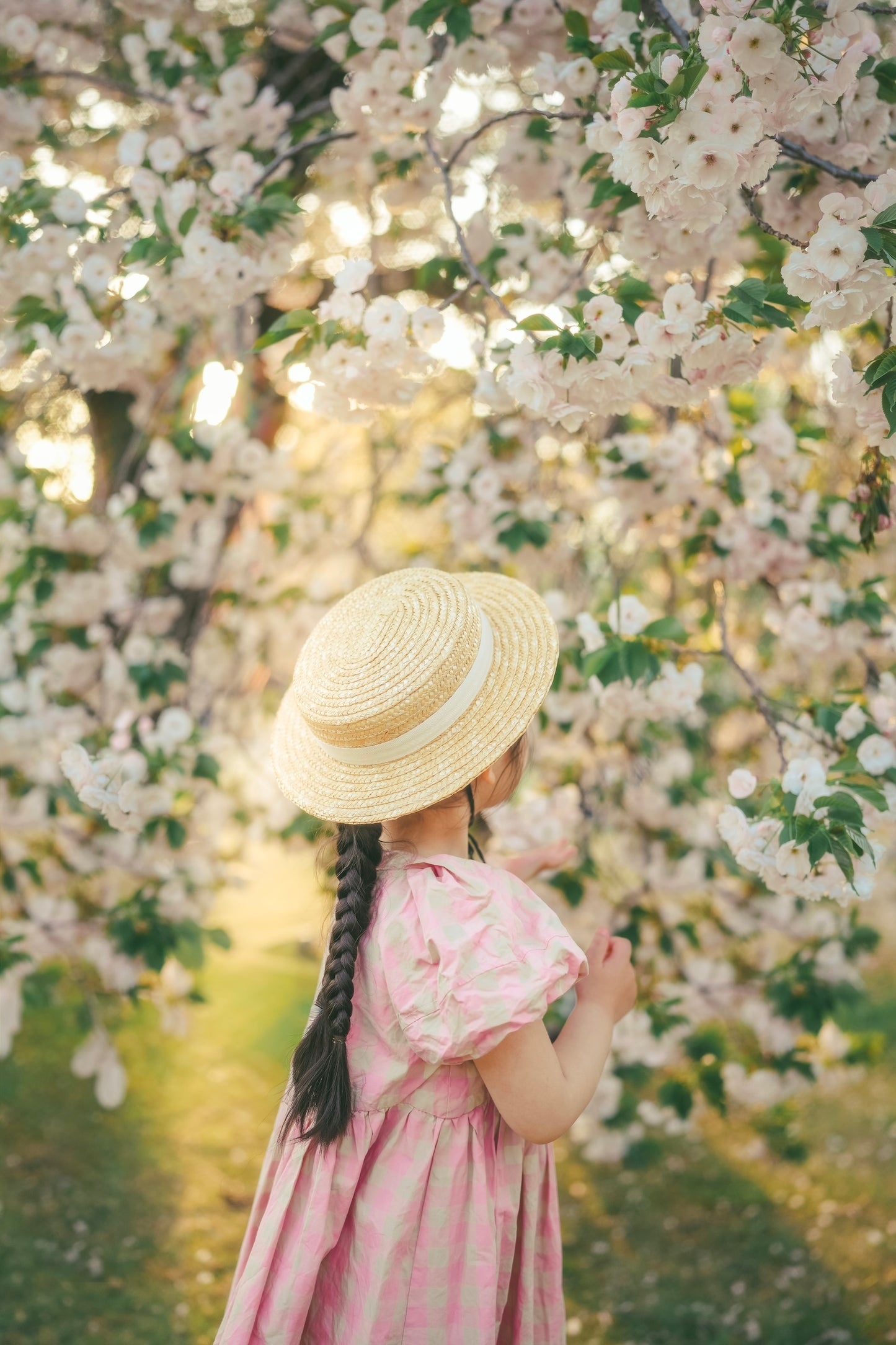加藤光｜最新版Lightroomプリセット「Afterlight」「Airy」