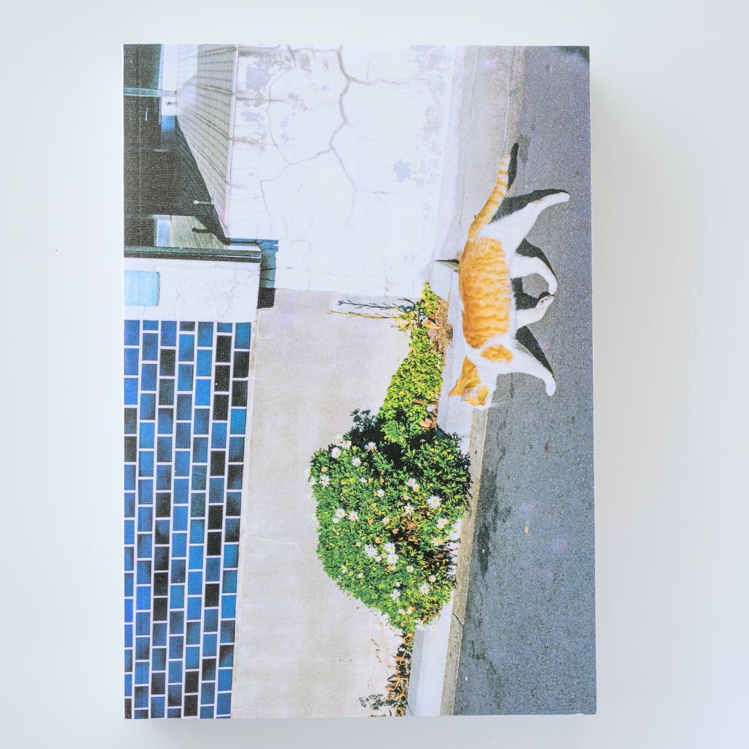 川島小鳥 写真集「おはようもしもしあいしてる」（送料無料）