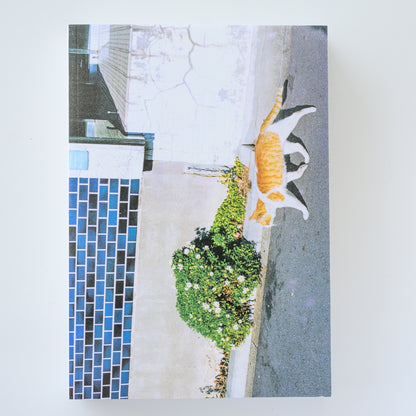 川島小鳥 写真集「おはようもしもしあいしてる」（送料無料）