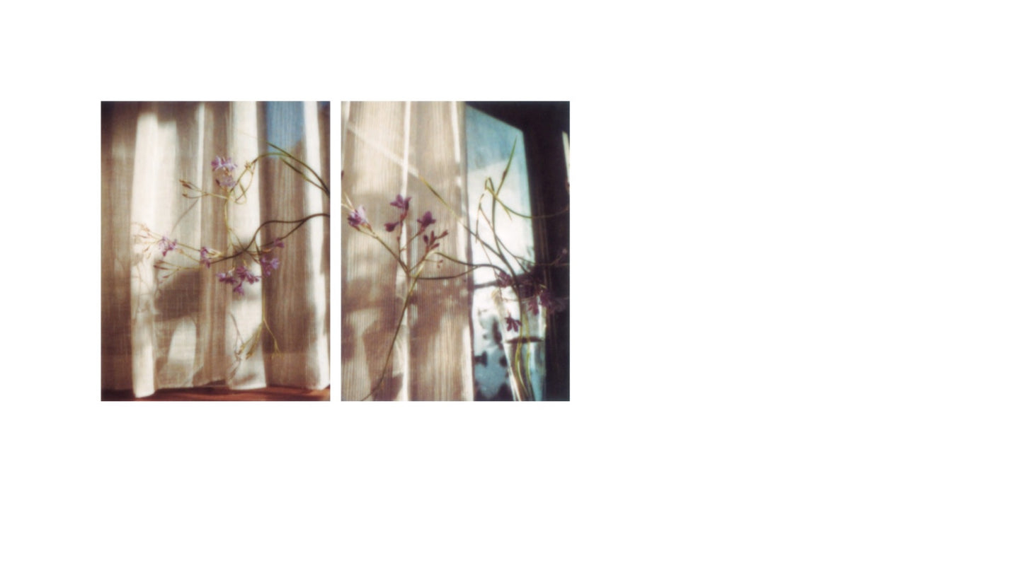奥山由之 写真集「flowers」（送料無料）
