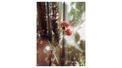 奥山由之 写真集「flowers」（送料無料）
