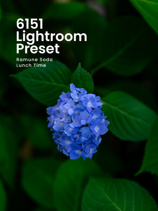 6151｜Lightroomプリセット「Ramune Soda」「Lunch Time」