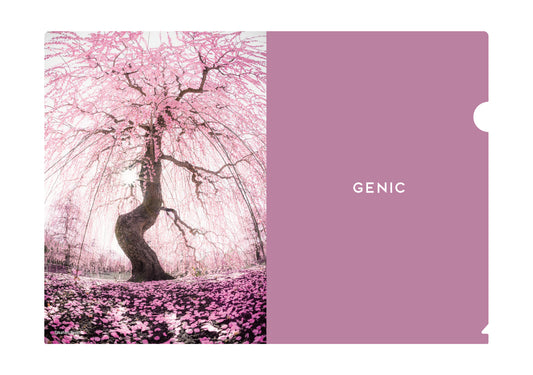 別所隆弘 オリジナルクリアファイル（送料無料）