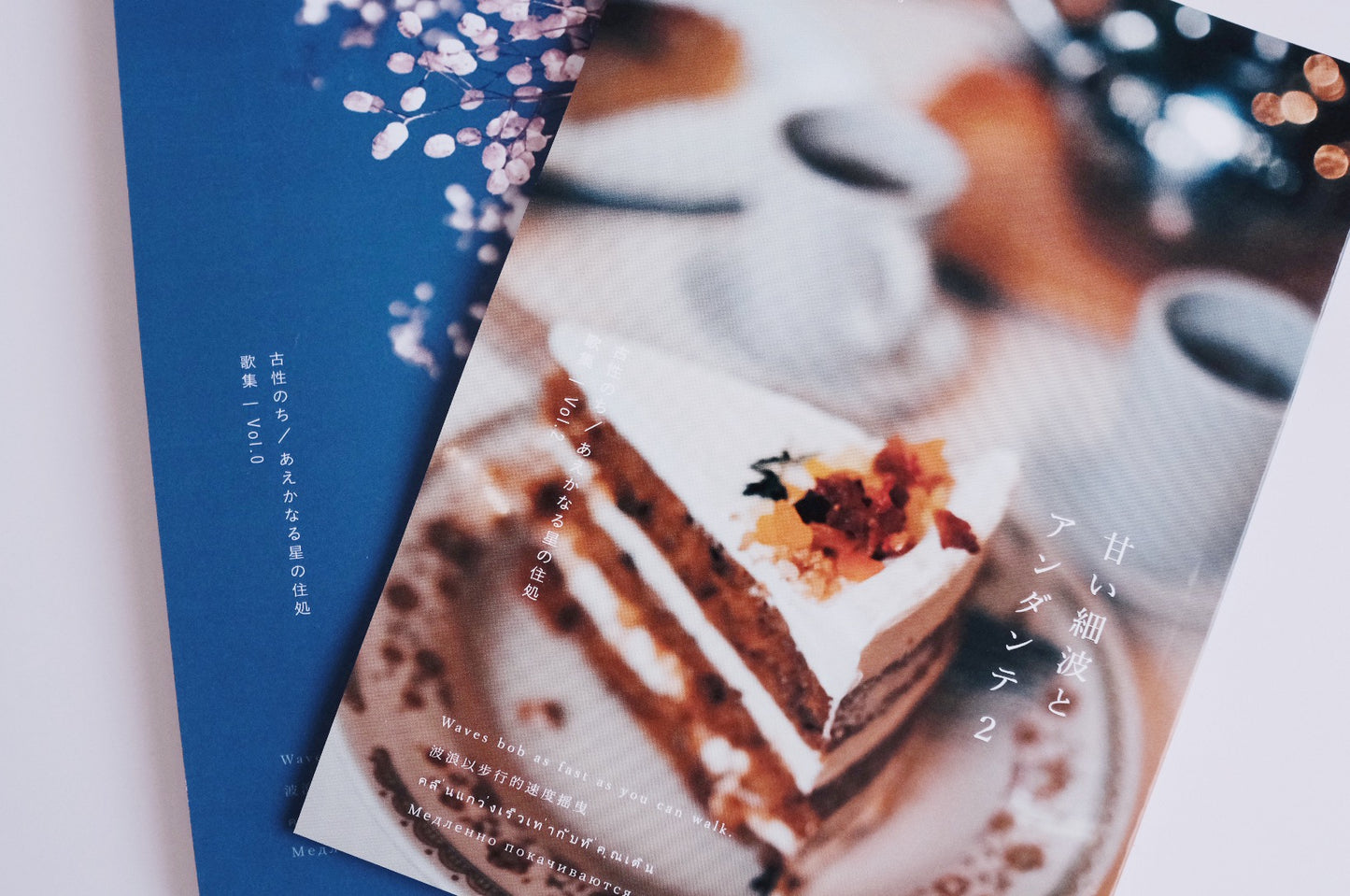 古性のち 短歌集 「甘い細波とアンダンテ」 2巻セット（送料無料）