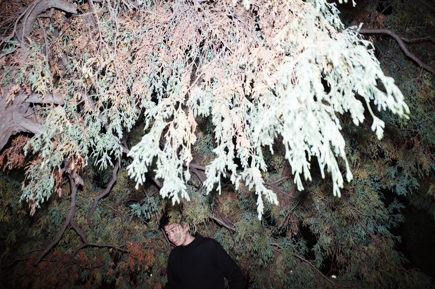 川島小鳥 写真集「サランラン」（送料無料）