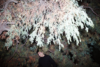 川島小鳥 写真集「サランラン」（送料無料）