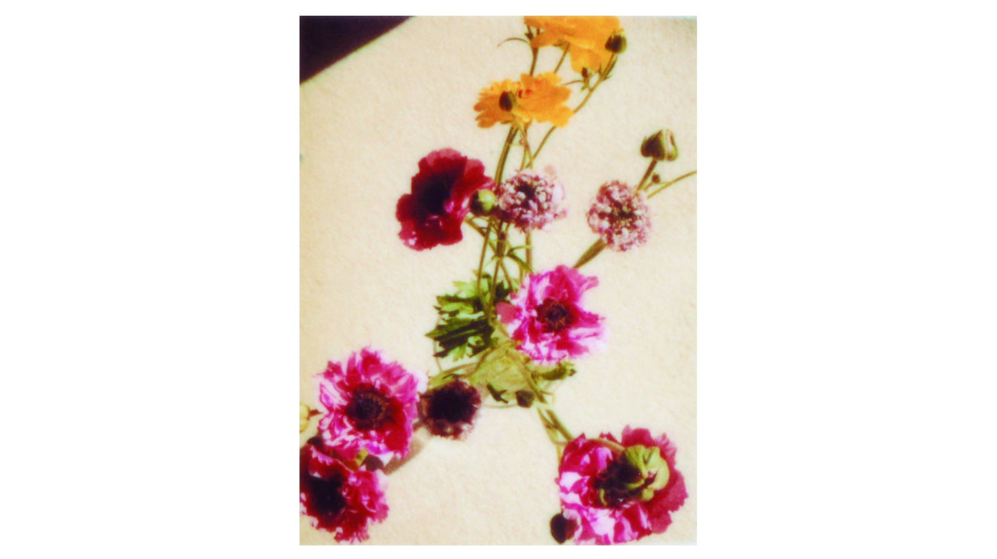 奥山由之 写真集「flowers」（送料無料）