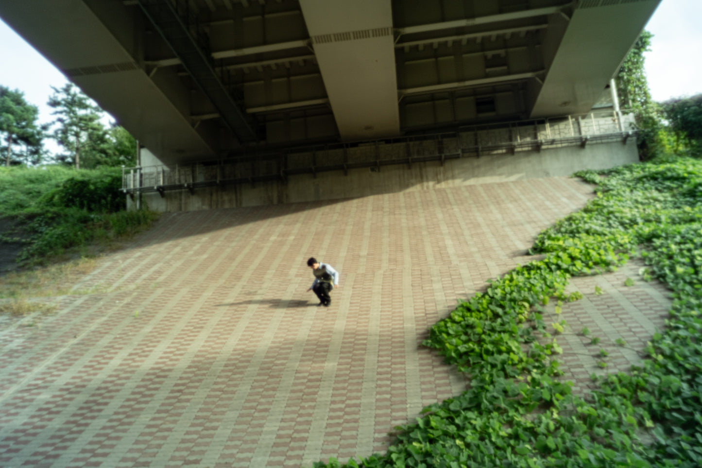 川島小鳥 写真集「サランラン」（送料無料）